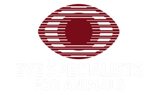 Eye Specialists for Animals Home